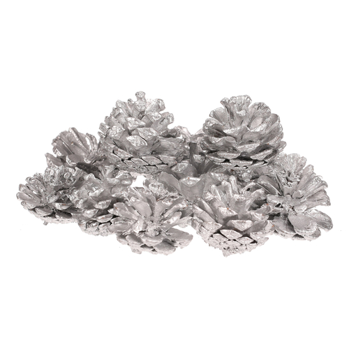 Šišky - pravé borovicové, stříbrné, cena za balení (12 ks)