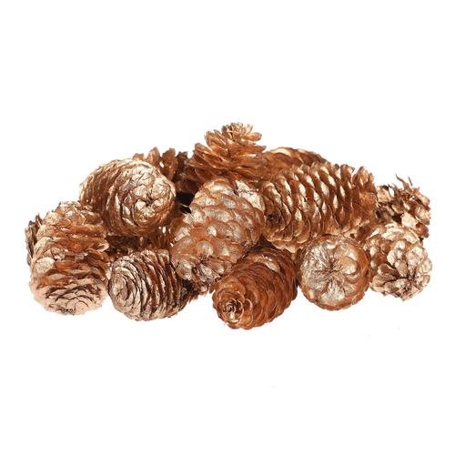 Šišky - pravé smrkové, zlatě barvené, cena za balení (18 ks)