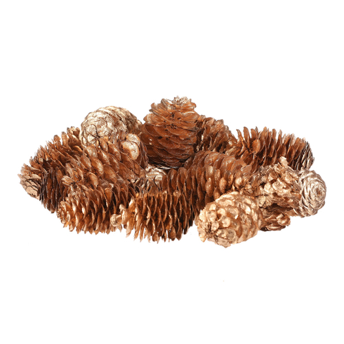 Šišky - pravé smrkové, zlatě barvené, cena za balení (18 ks)