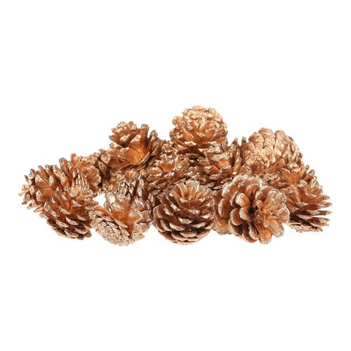Šišky - pravé borovicové, zlaté, cena za balení (24 ks)